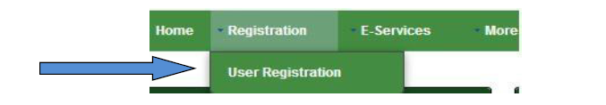 User Registration Page